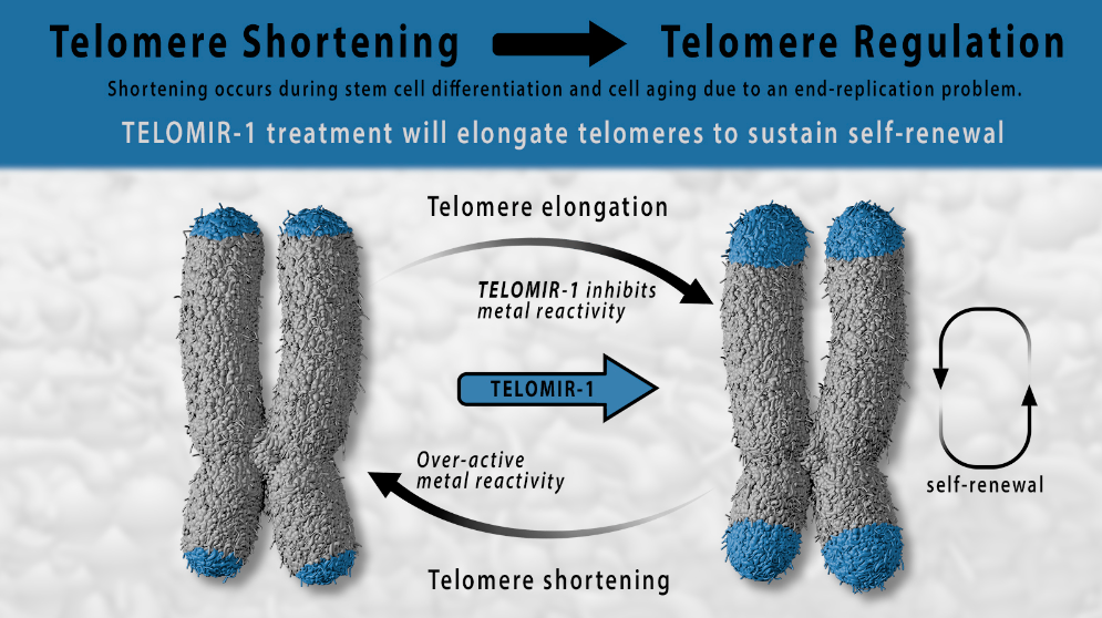 Telomir Pharmaceuticals